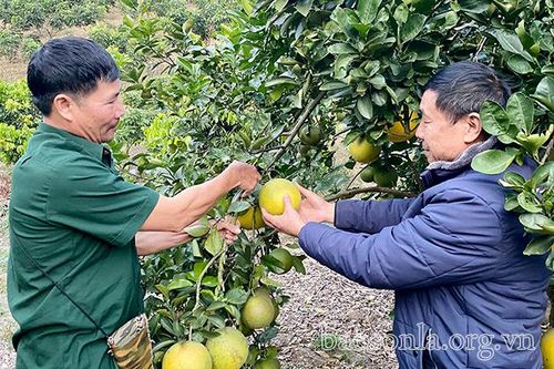 Thêm lực cho người nghèo vượt khó