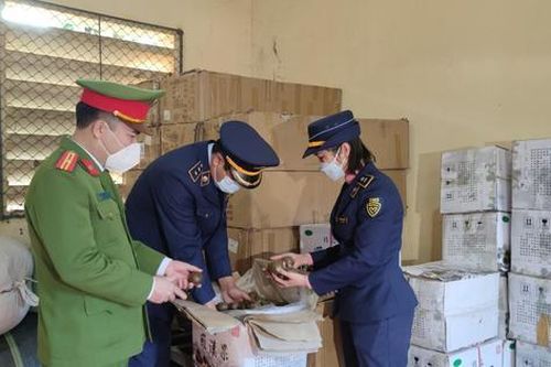 Thu giữ 1.800 kg dược liệu không rõ nguồn gốc