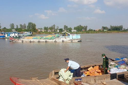An Giang: Khởi tố vụ vận chuyển hàng trăm kg cá ngựa, bong bóng cá khô qua biên giới