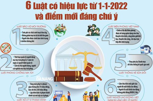 Điểm mới của 6 luật hiệu lực từ 1-1-2022