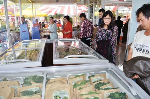 Đầu tư hỗ trợ ở vùng đồng bào thiểu số Lạc Dương