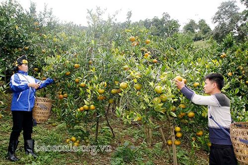 Đổi thay trên vùng quê biên giới