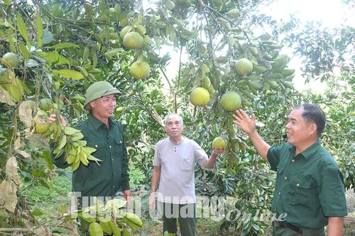 Dân vận khéo ở Pác Hóp