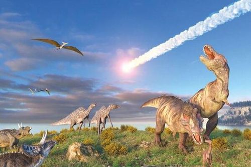 Khí hậu lạnh đi gây nên sự kiện tuyệt chủng hàng loạt đầu tiên trên thế giới?