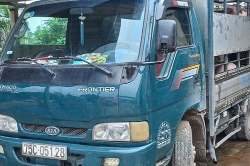 Xe tải vận chuyển hàng chục con lợn không có giấy kiểm dịch