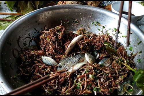 Gỏi cá nhảy - Món ăn kinh dị nhưng hấp dẫn lạ lùng của núi rừng Tây Bắc