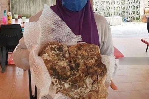 Nhặt được rác, không ngờ lại là 'kho báu' hiếm có, đắt đỏ
