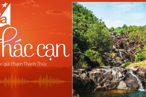 Tản văn: Thác cạn (Nhà văn Phạm Thanh Thúy)