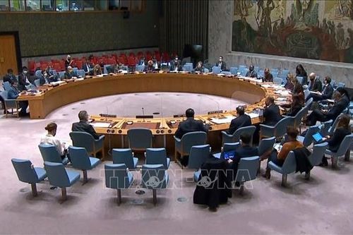 HĐBA thông qua nghị quyết gia hạn nhiệm vụ của UNDOF và AMISOM