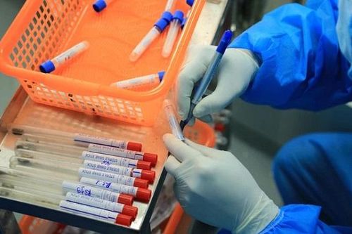 Vaccine phòng dịch tả lợn châu Phi do Việt Nam sản xuất đã sẵn sàng ra thị trường