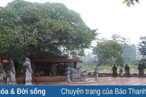 Đặc sắc khu tượng điêu khắc đá Đa Bút