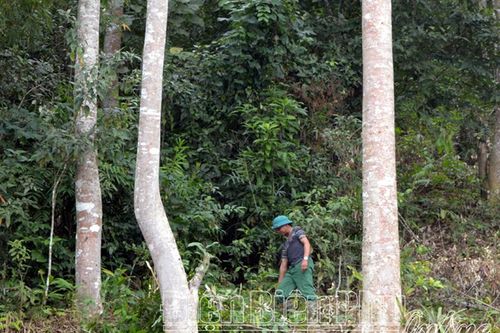 Trưởng bản uy tín, được dân tin yêu