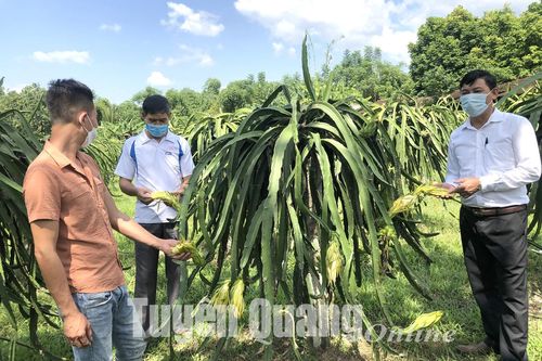 Xây dựng Đảng vững mạnh từ cơ sở