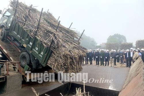 Lễ xuống mía ép vụ sản xuất 2021-2022
