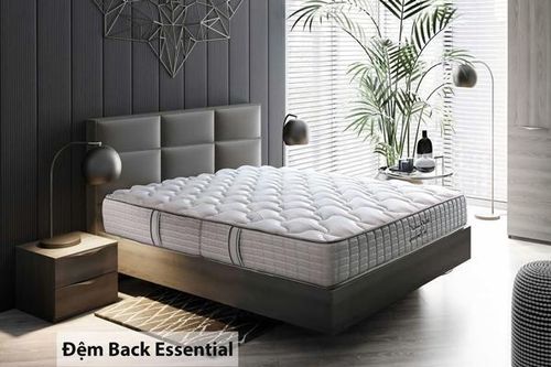 Top 3 thương hiệu đệm bông ép tốt cho sức khỏe