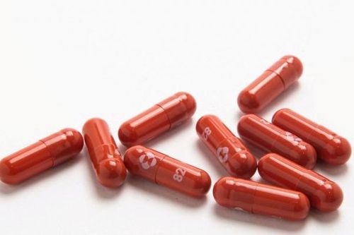 Pháp hủy đơn đặt hàng thuốc kháng Covid-19 của Merck