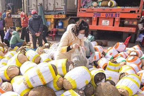 Ùn ứ nông sản tại Lạng Sơn: Nhiều tài xế chọn cách quay đầu xe, bán mít dọc đường giá rẻ gấp 10 lần