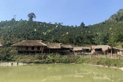 'Trong từ núi - sạch từ nguồn'