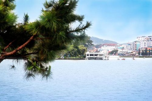 Đà Lạt mùa đẹp nhất