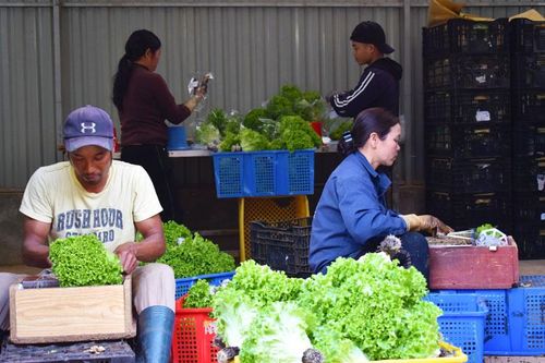 Hai chương trình, một mục tiêu ở Lạc Dương