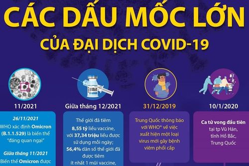 Các dấu mốc lớn của đại dịch COVID-19