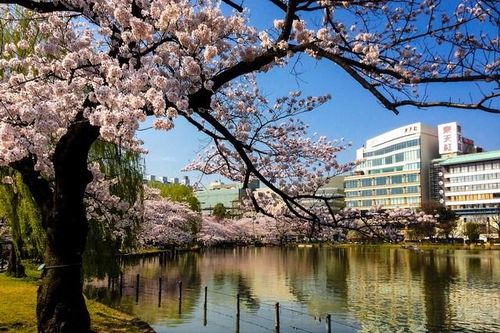 Tokyo Thủ đô của đất nước mặt trời