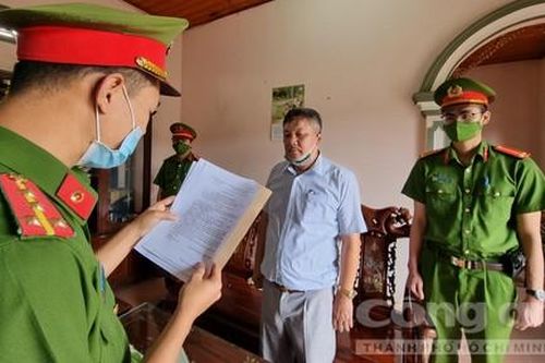 Lâm Đồng: Khởi tố 1 giám đốc về hành vi khai thác lâm sản trái phép