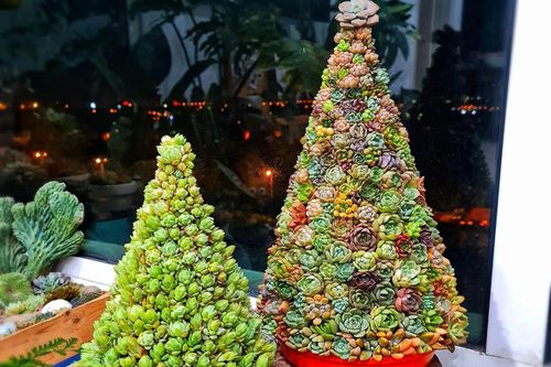 Biến tấu cây thông Giáng sinh từ vật liệu quen thuộc