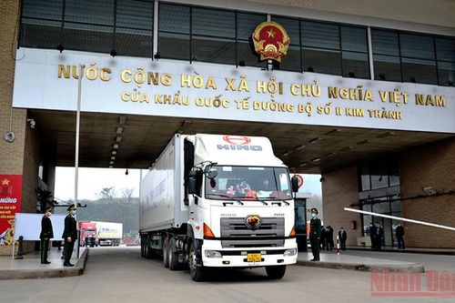 320 mã sản phẩm của Việt Nam được cấp phép xuất khẩu vào thị trường Trung Quốc