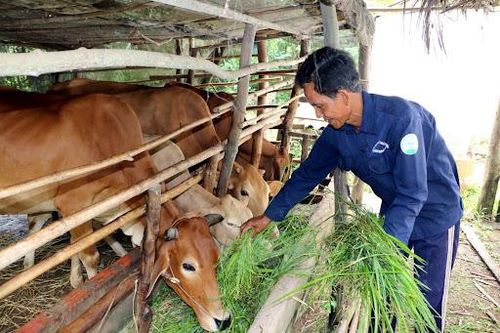 Chính phủ ban hành Kế hoạch thực hiện chỉ thị của Ban Bí thư về giảm nghèo bền vững