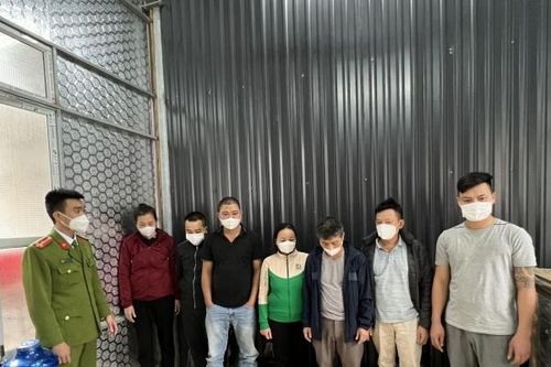 Bắt quả tang 7 đối tượng tổ chức đánh 3 cây ăn tiền