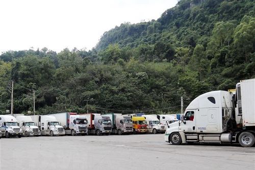 Chống ùn tắc nông sản tại Lạng Sơn: Bộ Giao thông Vận tải chỉ đạo khẩn