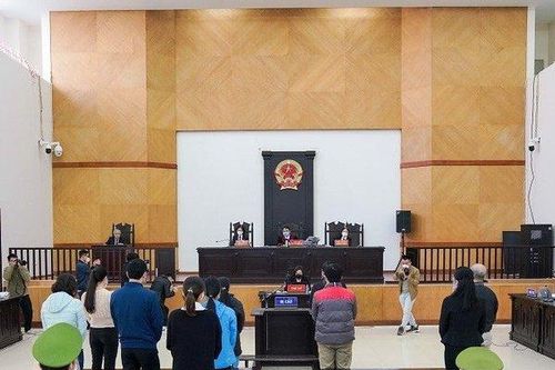 Ký 429 văn bằng giả, cựu Hiệu trưởng Đại học Đông Đô lĩnh 12 năm tù