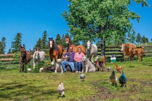 'Farmily' - Bộ ảnh chụp lại động vật cùng gia đình của mình