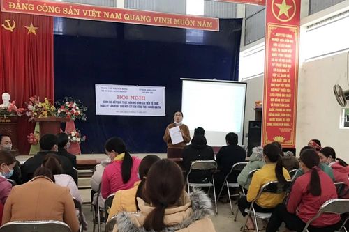 Đánh giá mô hình cải tiến tổ chức quản lý sản xuất quế hữu cơ tại Bản Cái