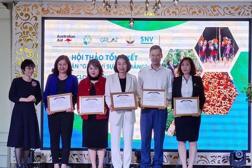 Phát triển bền vững chuỗi giá trị quế tỉnh Lào Cai