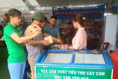 Hợp tác xã sản xuất, tiêu thụ cây, con đặc sản an toàn xã Yên Hòa: Nâng cao thu nhập nhờ chuyển đổi số