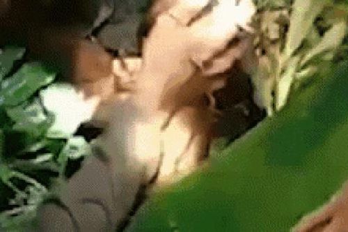 Bé sơ sinh không mặc quần áo bị bỏ trong rừng, chi tiết vụ việc ám ảnh xót xa và tình trạng hiện tại của đứa trẻ gây ngỡ ngàng