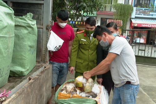 Cả tấn nội tạng động vật trôi nổi từ Đà Nẵng ra Huế tiêu thụ