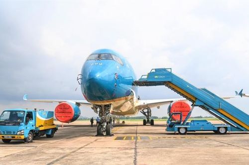 Các hãng hàng không Việt Nam lâm vào tình trạng nguy hiểm