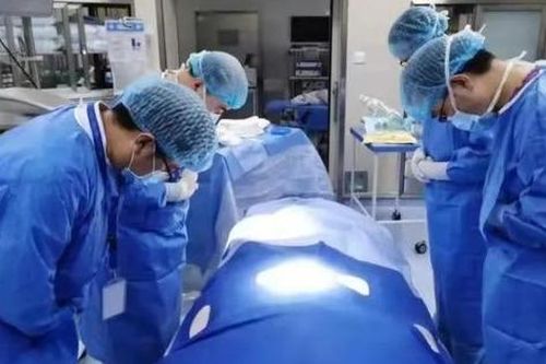 Cha mẹ hiến tạng của bé gái 14 tháng tuổi