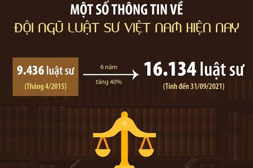 Một số thông tin về đội ngũ luật sư Việt Nam hiện nay