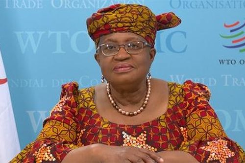 WTO: Chấm dứt các rào cản thương mại để giúp giải quyết khủng hoảng khí hậu