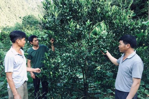 Diện mạo mới ở Sa Pả