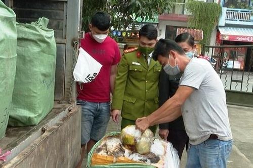 Xe ôtô vận chuyển hơn 1 tấn nội tạng không rõ nguồn gốc