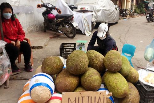 Tắc cửa khẩu, trái cây quay về Hà Nội chờ giải cứu