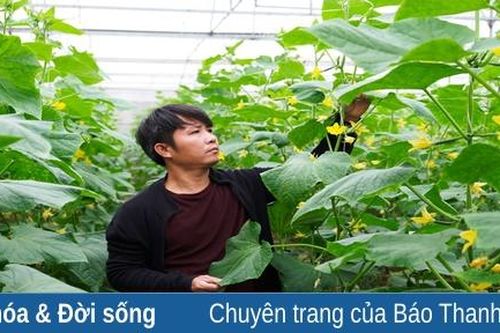 Chàng kiến trúc sư làm nông nghiệp sạch