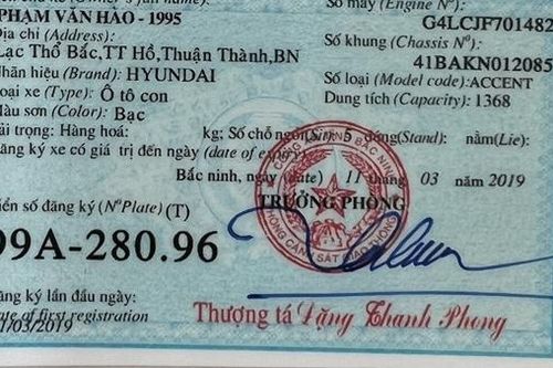 Dùng đăng ký xe giả đến nộp phạt