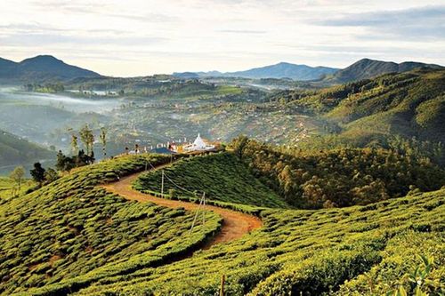 'Cõi thiên thai' Nuwara Eliya