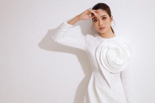 Hoa hậu biển Ninh Hoàng Ngân yêu kiều với áo dài cách tân diện Tết
